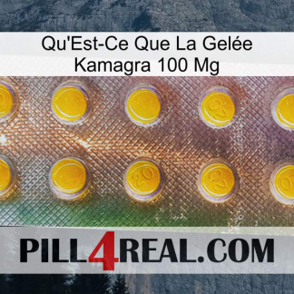 What Is Kamagra Jelly 100Mg new11
